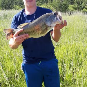 Meet your Posher, Caleb